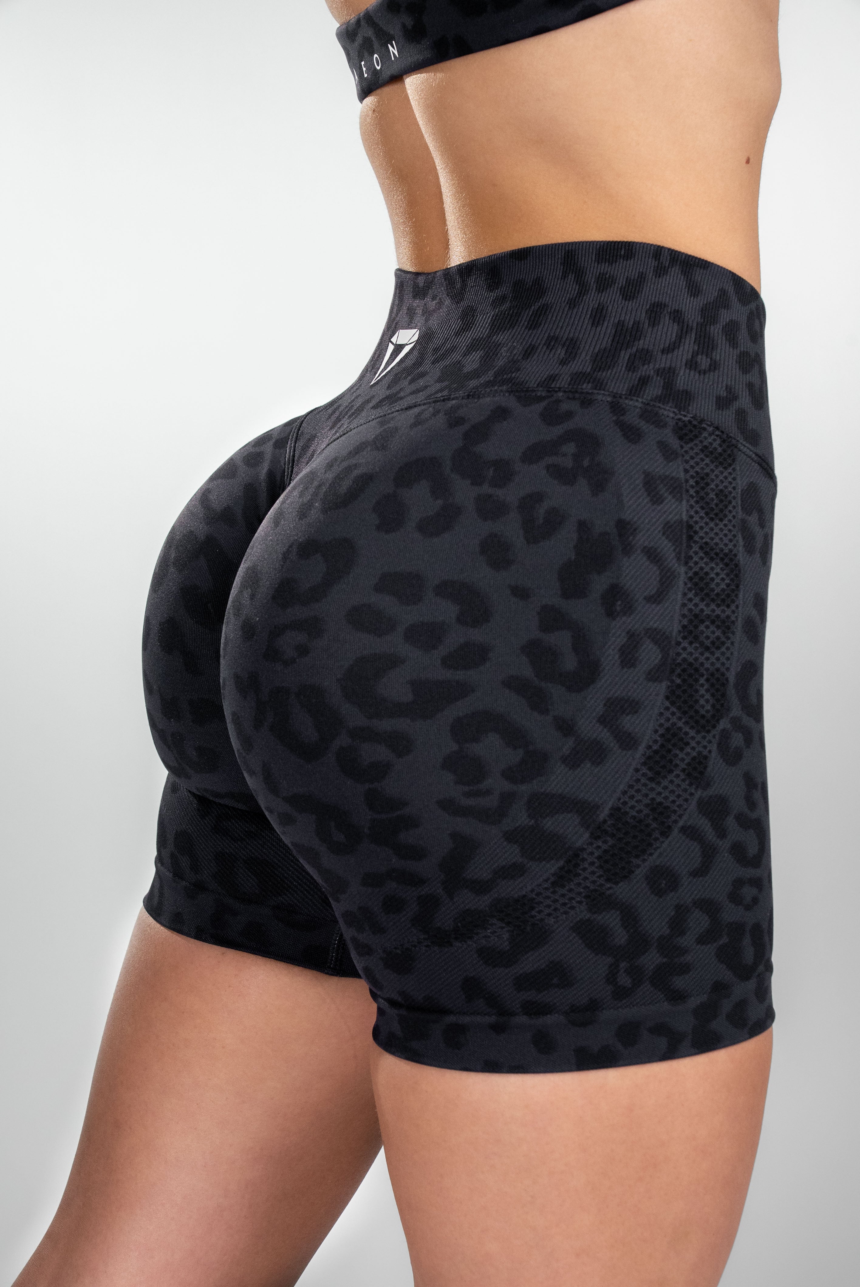 MOTION SET V2 - MIDNIGHT BLACK LEO (3-KUSY)